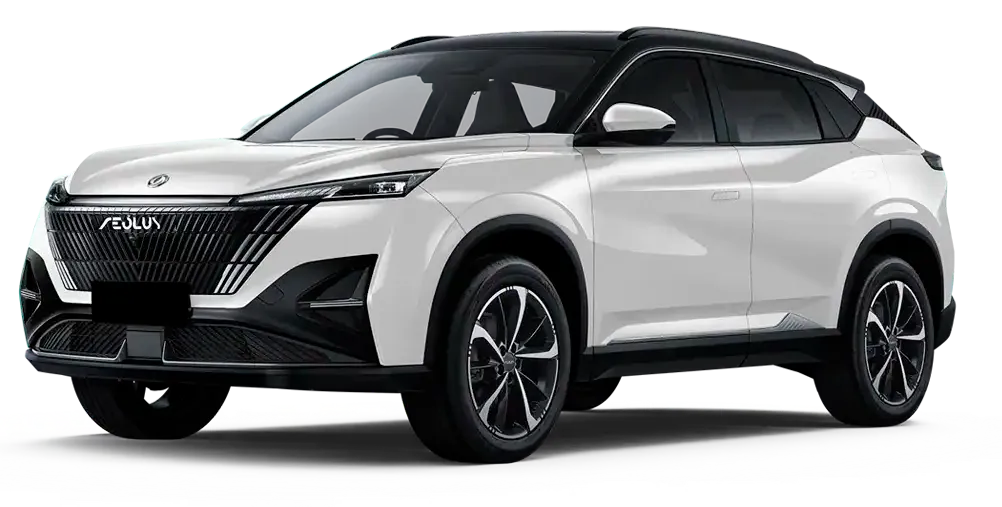 Баннер Dongfeng Mage