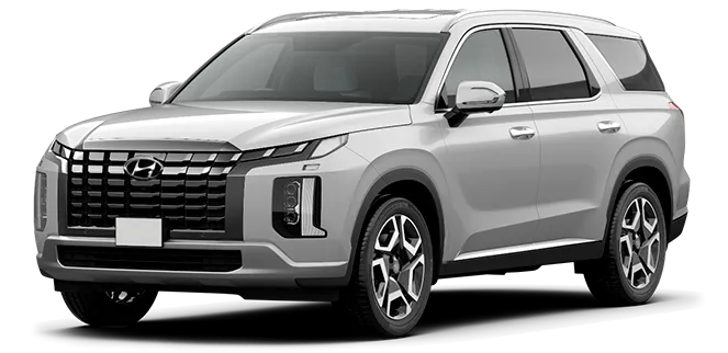 Баннер Hyundai Palisade New