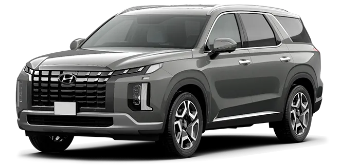 Баннер Hyundai Palisade New