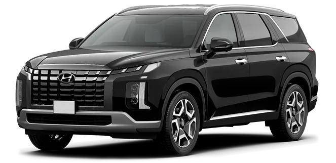 Баннер Hyundai Palisade New