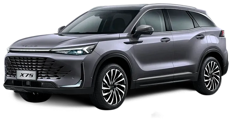 Баннер BAIC X75