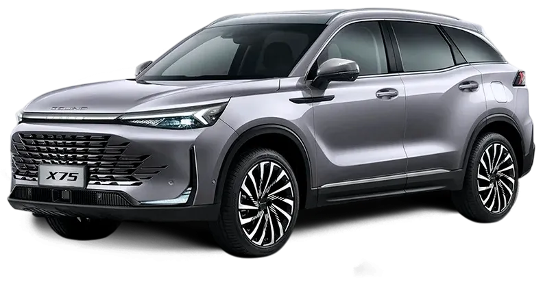 Баннер BAIC X75