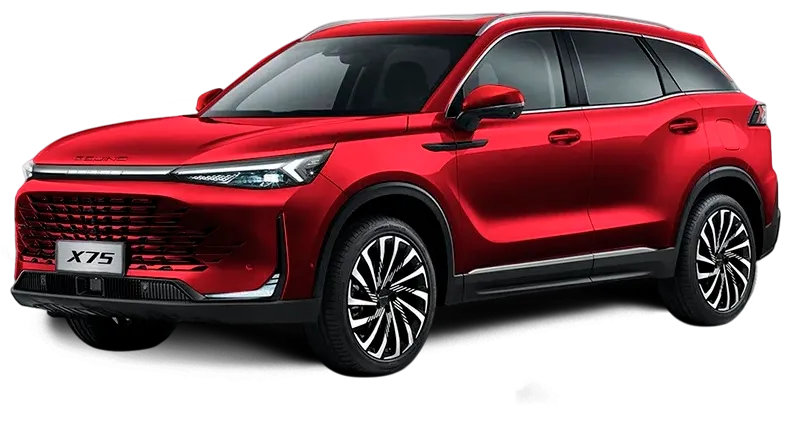 Баннер BAIC X75