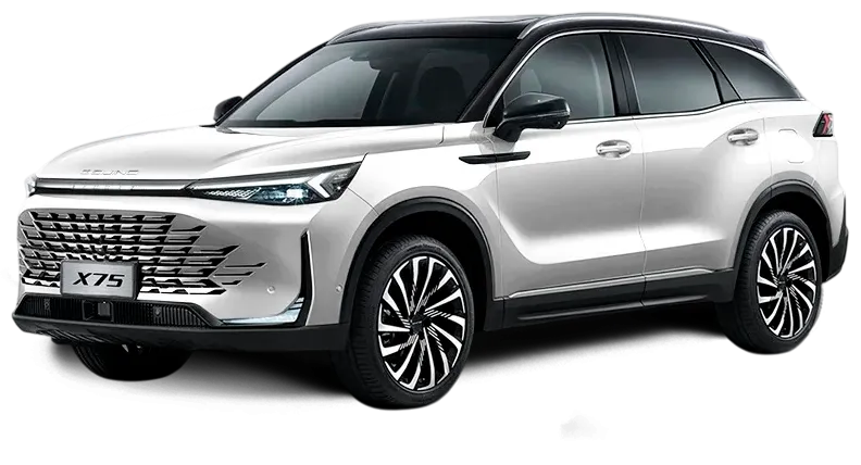 Баннер BAIC X75