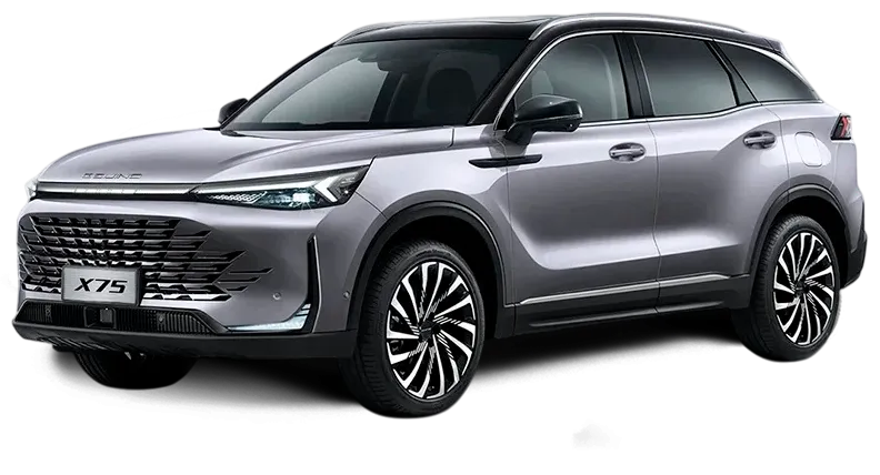 Баннер BAIC X75