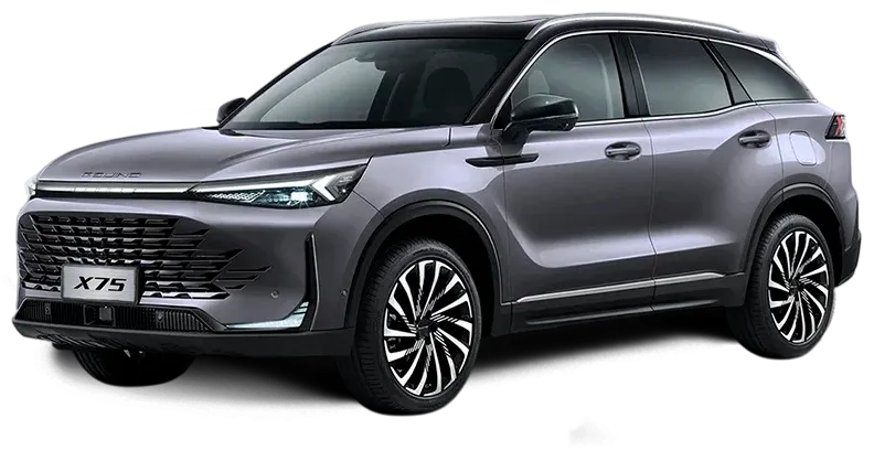 Баннер BAIC X75